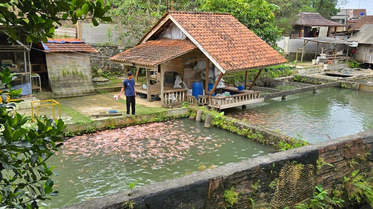 Desa Jatihurip di Kecamatan Cisayong, Kabupaten Tasikmalaya Jadi Percontohan Pengembangan Energi Terbarukan Berkat Bantuan BRI
