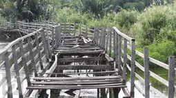 Jembatan penghubung tampak rusak dan rapuh di Suaka Marga Satwa Muara Angke Balai Konservasi Sumber Daya Alam DKI Jakarta, (18/3). Semula SMMA ditetapkan sebagai cagar alam oleh pemerintah Hindia Belanda pada 17 Juni 1939. (Liputan6.com/Gempur  M Surya)