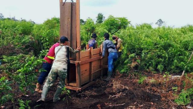 Harimau menerkam manusia