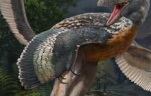 Spesies Dinosaurus Langka Berusia 150 Juta Tahun Ditemukan, Punya Kaki Dua Kali Lebih Panjang dari Paha