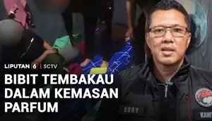 Modus Baru Edarkan Bibit Tembakau Sintetis dalam Botol Parfum