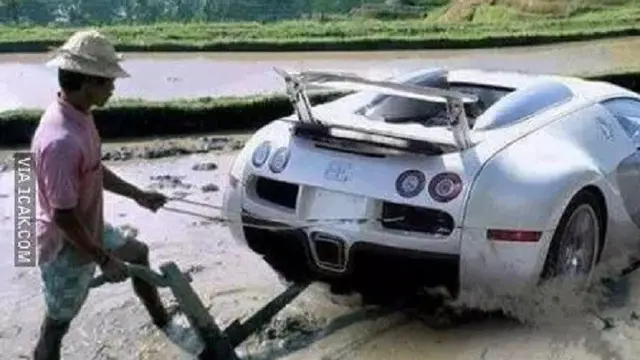6 Potret Alih Fungsi Mobil untuk Pekerjaan di Sawah Ini Nyeleneh Banget