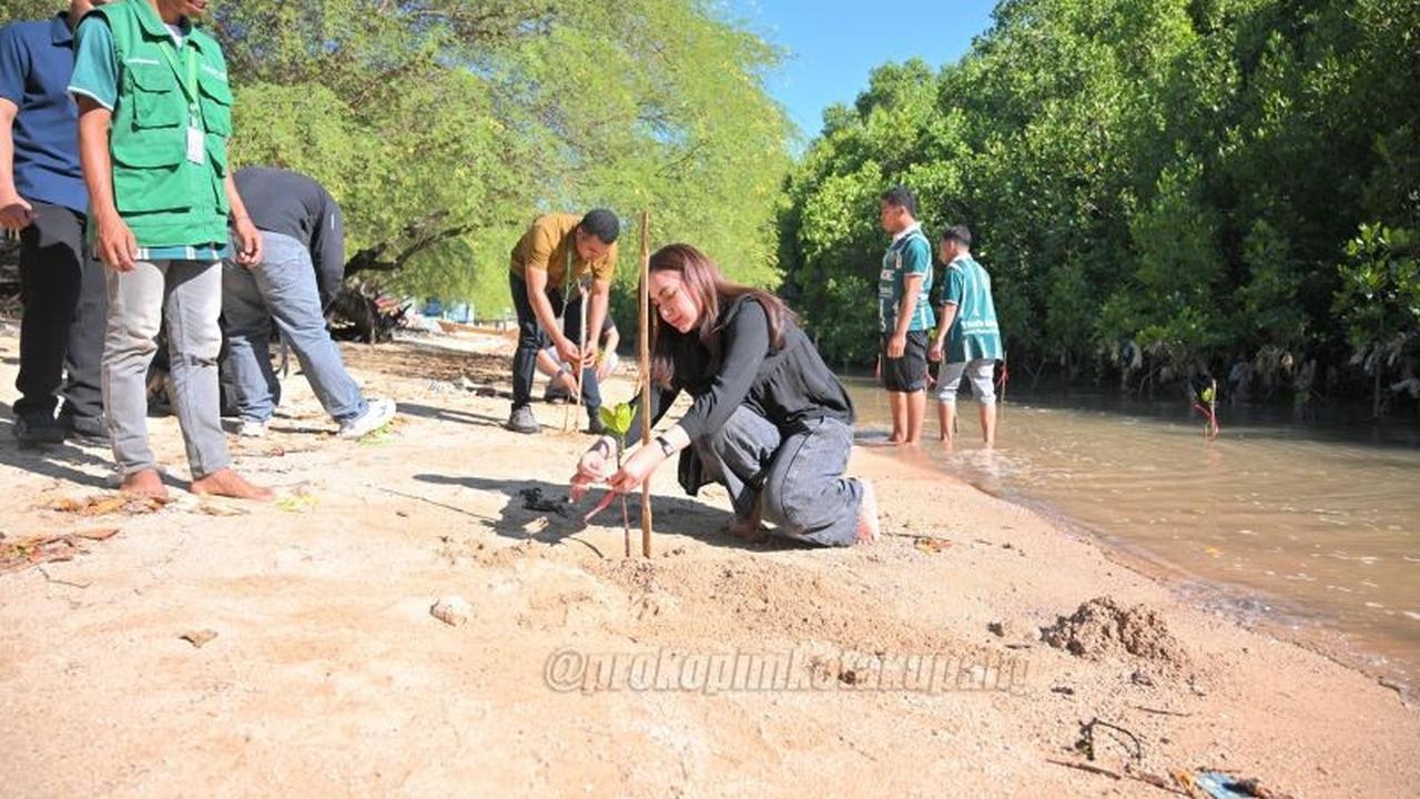 Kolaborasi Pemkot Kupang dan Kaum Muda: Aksi Nyata Lestarikan Mangrove Pesisir Oesapa Barat