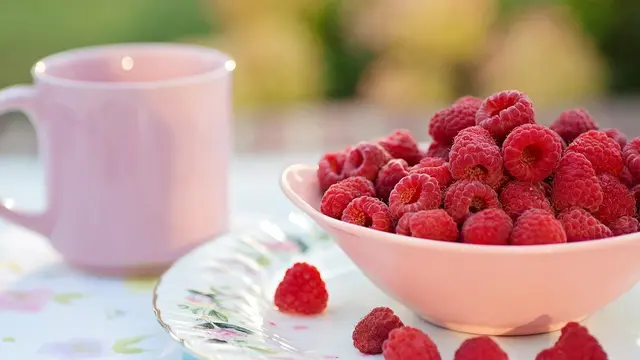 Ilustrasi Raspberry (sumber: pixabay)