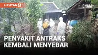 PENYAKIT ANTRAKS MENYEBAR DI GUNUNGKIDUL AKIBAT MAKAN DAGING SAPI MATI