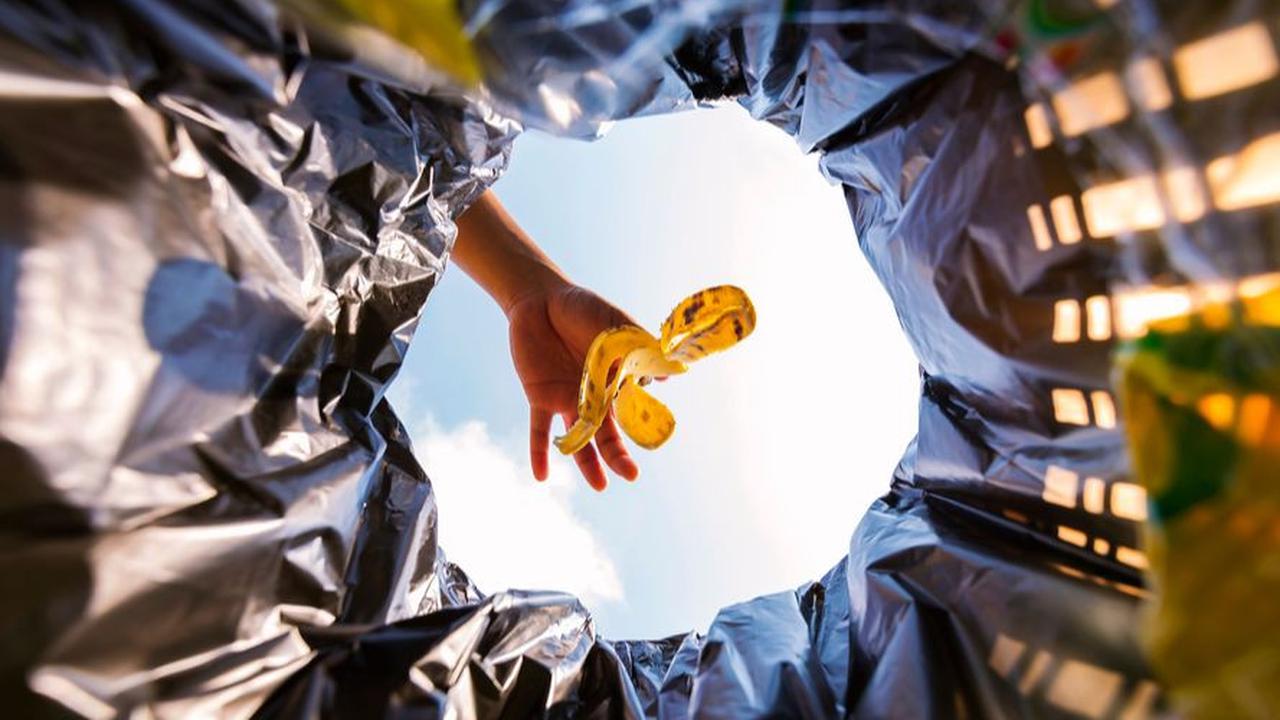 Membawa Tempat Sampah Sendiri<br>
