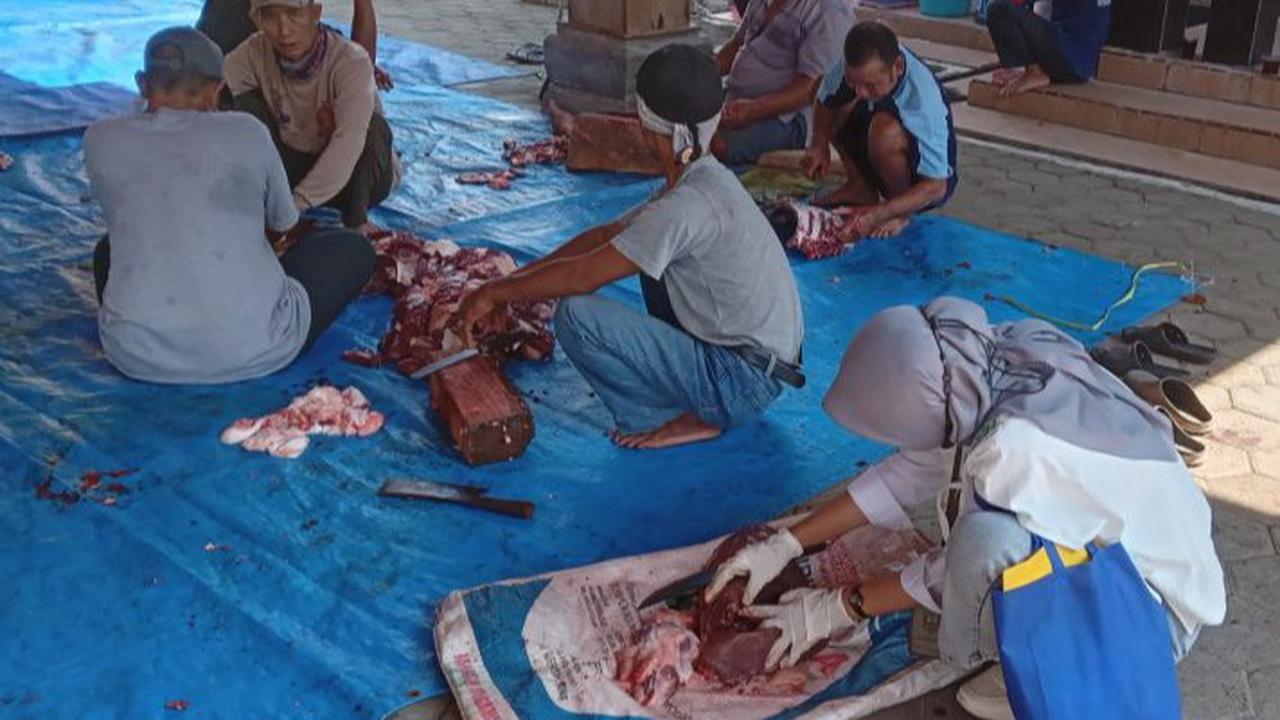 Ada Cacing Hati Ditemukan di Hewan Kurban, Dinas Pertanian Kudus Lakukan Ini ke Warga