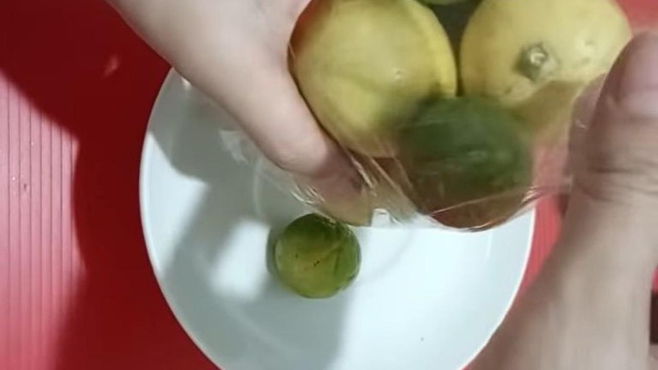 Bungkus Jeruk Nipis dalam Plastik