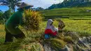 Kebijakan ini juga menegaskan komitmen penyerapan gabah oleh Bulog selama panen raya, dengan target serapan 4 juta ton di tahun 2026. Tampak dalam foto, anak-anak membantu ibunya memanen padi jenis Ciherang di Terasering Cisalada, Bogor, Jawa Barat, Minggu (12/4/2006). (merdeka.com/Arie Basuki)
