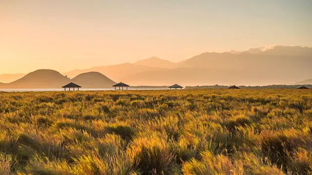 6 Destinasi Sabana di Indonesia yang Memukau
