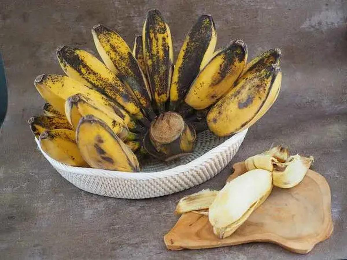6 Tips Agar Pisang Tidak Cepat Berubah Warna Menjadi Kecokelatan