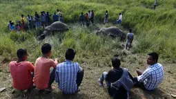 Warga mengerumuni lokasi dua ekor gajah yang tewas tertabrak kereta api di dekat Stasiun Thakurkhchi di pinggiran kota Guwahati, India, Minggu (19/11). Gajah-gajah itu berkeliaran di sekitar area tersebut untuk mencari makanan. (Biju BORO/AFP)