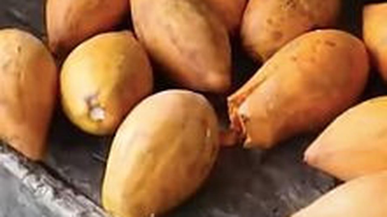 Manfaat Buah Campolay<br>