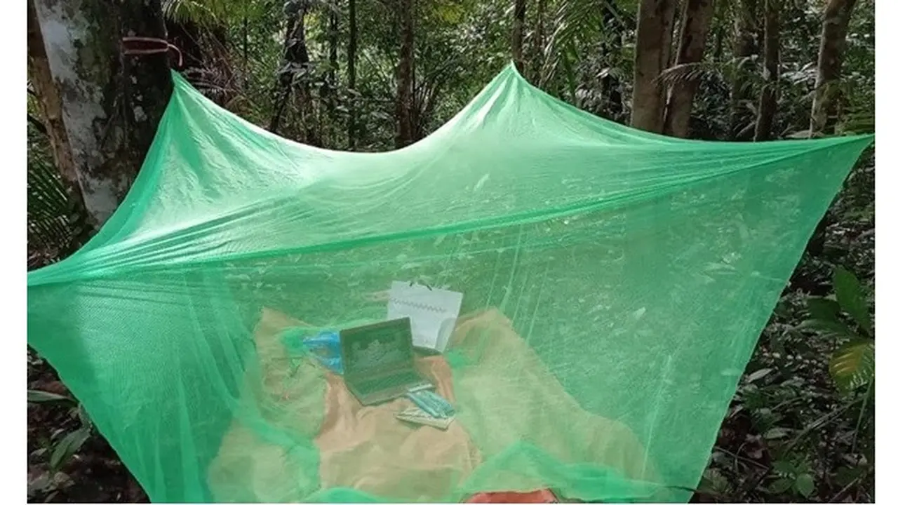 Demi Sinyal Internet Stabil, Mahasiswi Ini Rela Belajar di Tengah Hutan