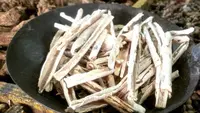 Pulosari adalah rempah untuk membuat jamu penambah nafsu makan. (Dok: Instagram @usahatiga)