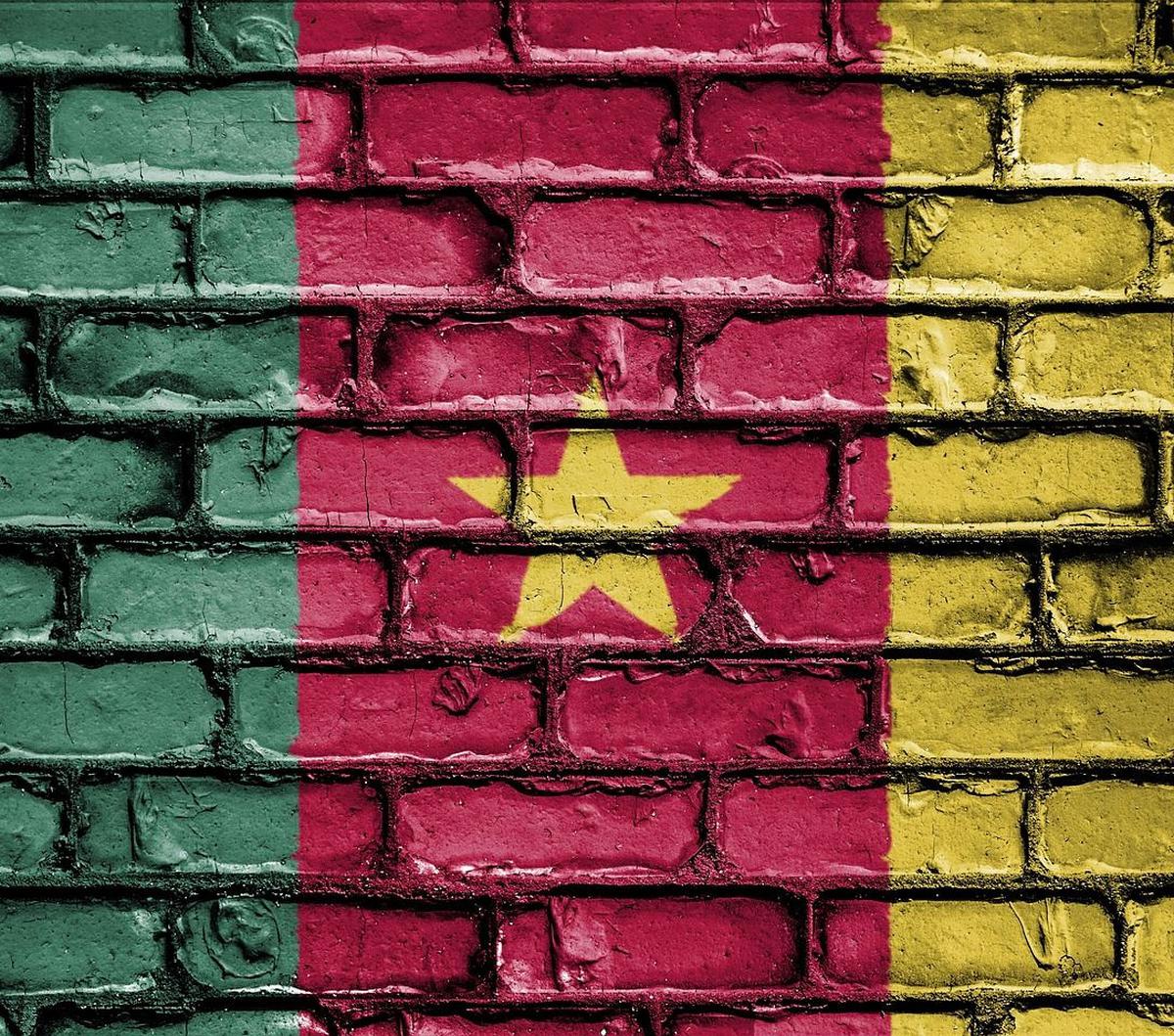 7. Pada posisi ketujuh, ada Kamerun dengan 274 bahasa.