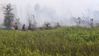 Asap Kebakaran Hutan Ancam Pasien Asma, Jangan Abaikan Gejala Ini