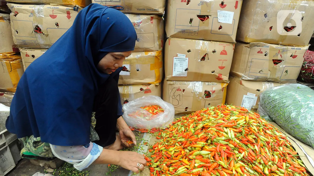 Harga Cabai