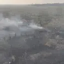 Kebakaran Hutan di Taman Nasional Way Kambas Kian Meluas di Hari Keempat