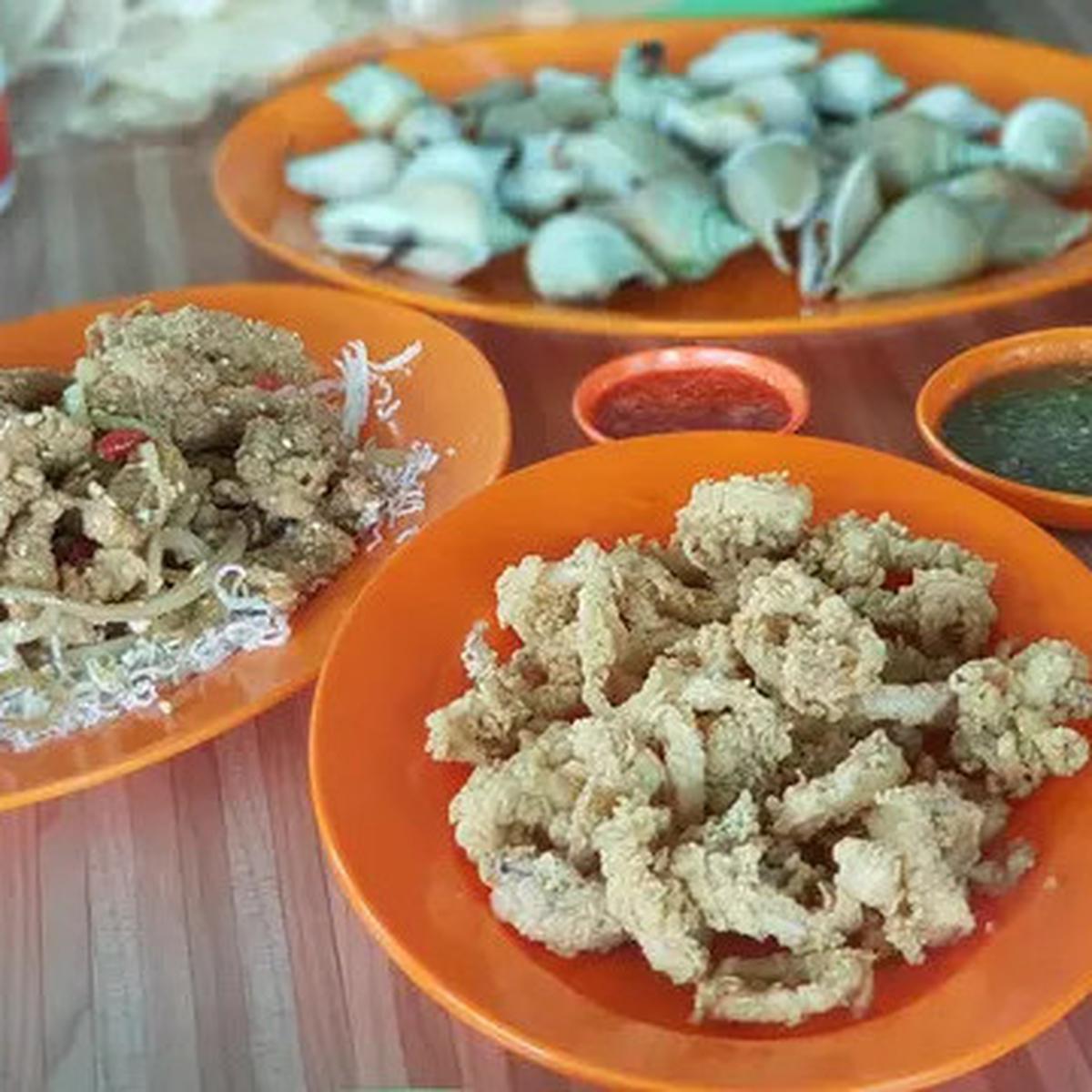 Jintan atau Jinten: Bumbu Dapur Teruji Ilmiah untuk Turunkan Kolesterol dan Cegah Kanker