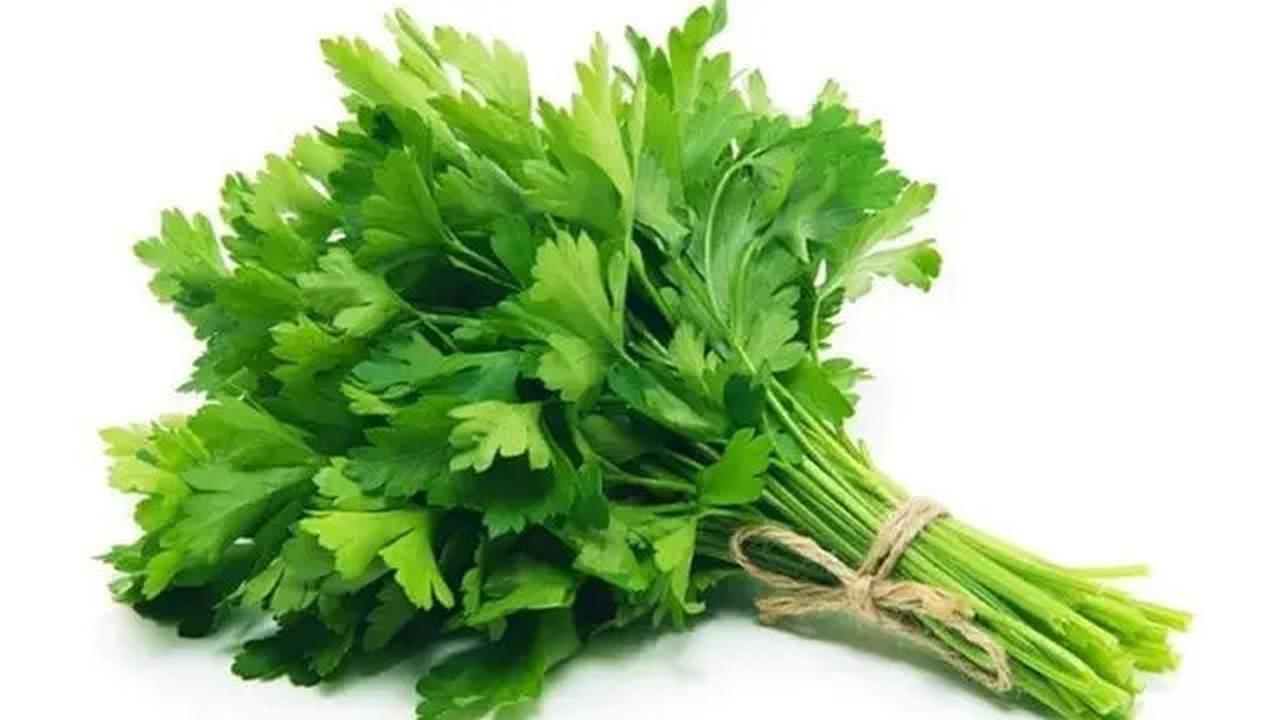 Manfaat Daun Seledri untuk Kesehatan Tubuh, Simak Langkah Mudah Membuatnya