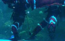 FOTO: Menyaksikan Atraksi Barongsai di Akuarium Sea World Ancol Jelang Perayaan Imlek