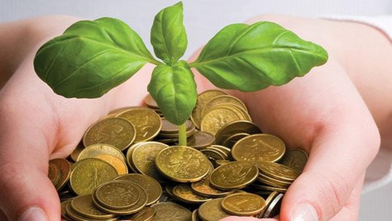 Tak cuma masyarakat, pejabat negara pun tertipu investasi bodong