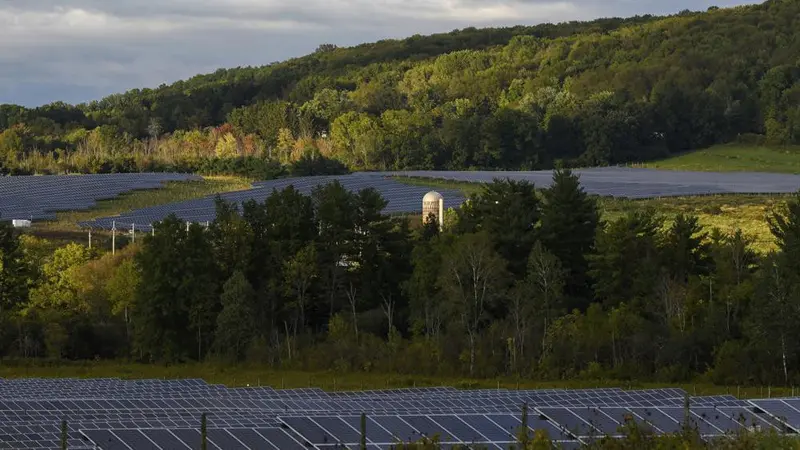 Perkebunan tenaga surya mengelilingi pepohonan di Cornell University di Ithaca, NY.