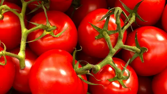 Menjaga Kesehatan Mata