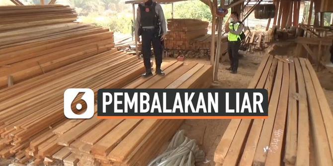 VIDEO: Praktik Pembalakan Liar di Kalimantan Digerebek Polisi