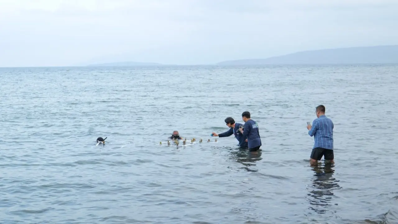 Pantai Basring di Banyuwangi menjadi tempat pengelolaan ekosistem terumbu karang.