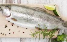 Makan Enak tapi Kolesterol Aman, 5 Jenis Ikan Ini Cocok Dikonsumsi Pengidap Kolesterol Tinggi