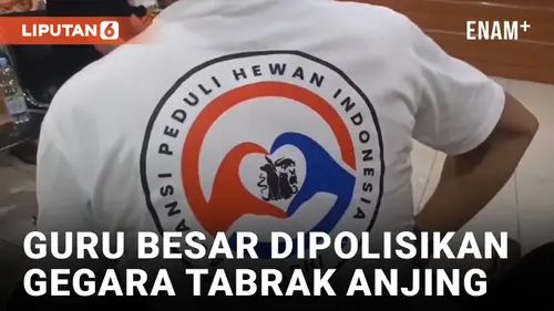 VIDEO: Tabrak Anjing Seharga Puluhan Juta, Guru Besar di Makassar Dilaporkan ke Polisi