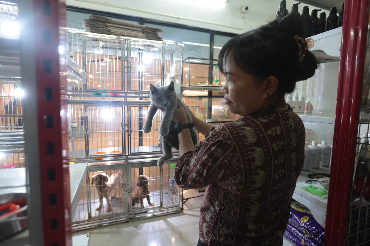 Cukur Bulu hingga Mandi Hewan Jadi Cuan Bisnis Pet Shop
