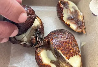 Menu MBG di SD Kota Sukabumi diprotes karena buahnya busuk. (istimewa)