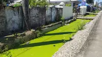 Kondisi Drainase di tengah Kota Gorontalo yang kini dikeluhkan warga (Arfandi/Liputan6.com)