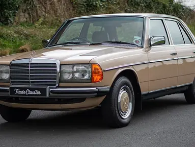 Mercedes-Benz E-Class W123 yang akrab disebut Mercy Tiger di Indonesia merupakan salah satu mobil dengan Mercedes-Benz dengan rancang bangun terbaik. W123 memiliki ketangguhan luar biasa sebagai sebuah Mercedes. Mobil ini bahkan dijadikan taksi di beberapa negara dan tembus hingga lebih dari 800 ribu kilometer. Bahkan varian mesin diesel yang digunakan bisa tahan terhadap serangan peluru. (Source: tradeclassics.com)