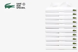 Menilik dampak kampanye Lacoste X IUCN dalam menyelamatkan satwa langka (dok. IUCN)