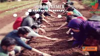 Hijau di Tengah Kota Bersama Komunitas Indonesia Berkebun