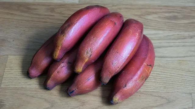 Ilustrasi pisang merah