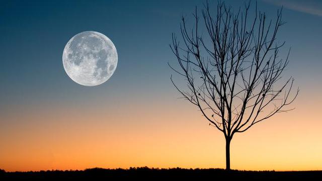 ilustrasi bulan. (Photo by David Besh from Pexels)