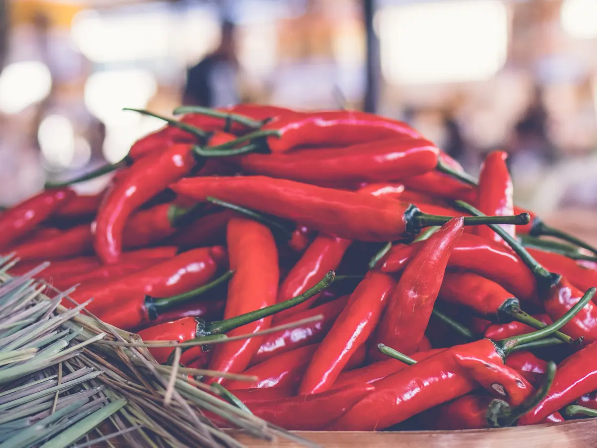 5 Tips Menyimpan Cabai Agar Awet Dan Tidak Mudah Busuk - Lifestyle  Fimela.com