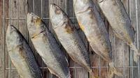 Ilustrasi ikan peda. (Foto: Cookpad/@ratnadnachan)