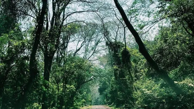 Gunung Pinang sering jadi tempat prewedding