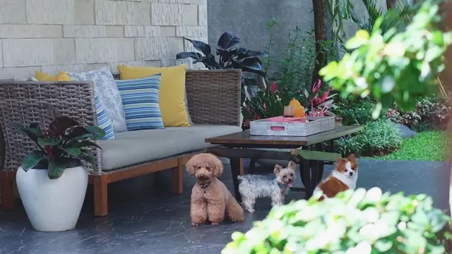 Rumah Ibunda Irish Bella
