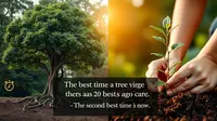 Understanding the Best Time to Plant a Tree Quote and Its Meaning