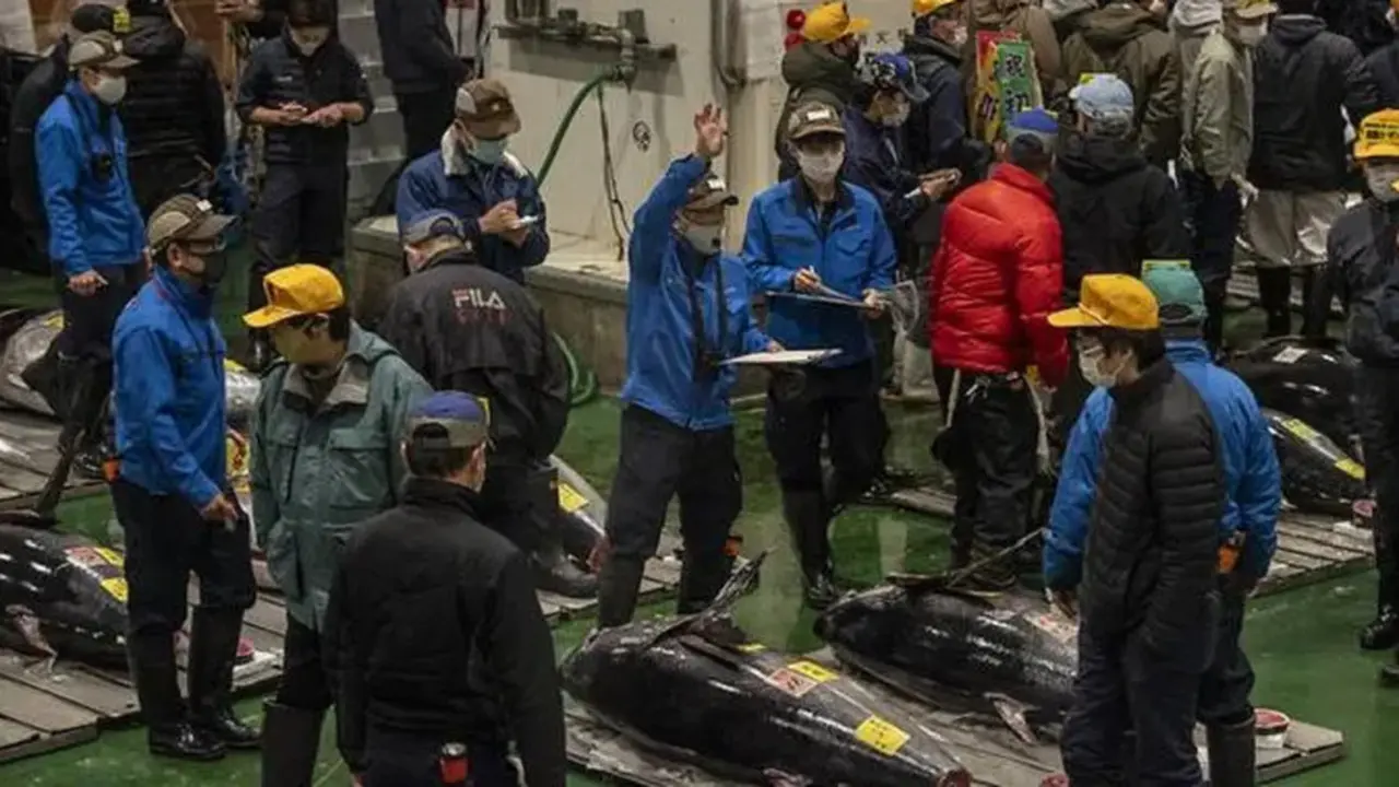 Lelang ikan tuna di Toyosu fish market Tokyo Jepang (AFP)