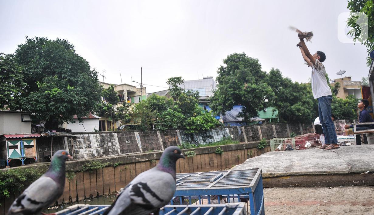 Mereka juga mendirikan kandang hewan peliharaan meski melanggar aturan serta dapat mencemari aliran sungai.  (merdeka.com/Iqbal S. Nugroho)