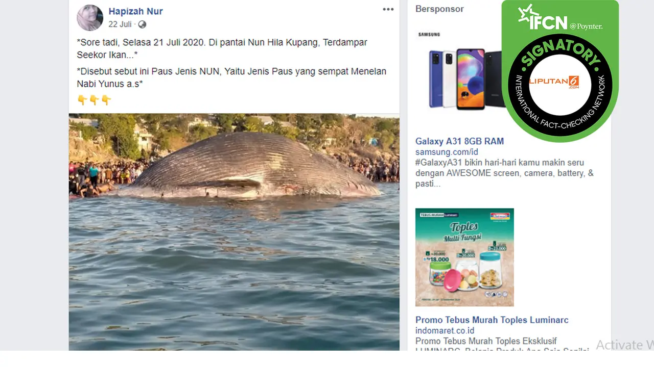 Hoaks ikan paus