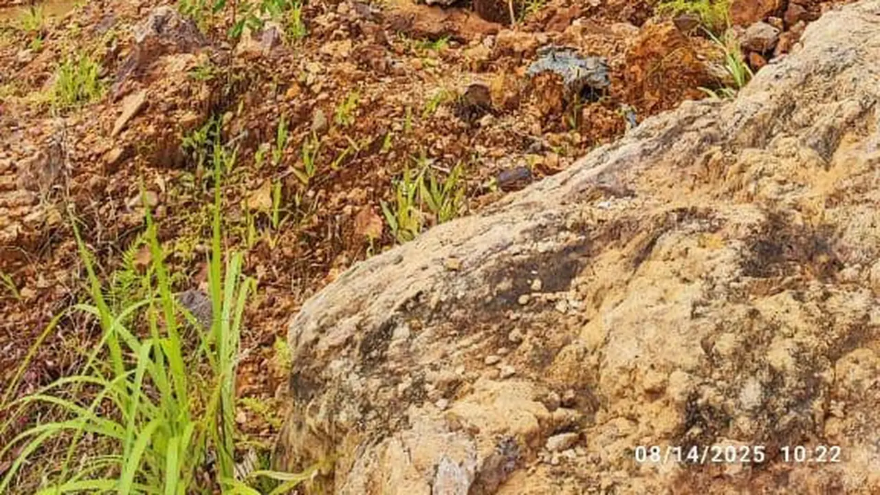 Tambang Ilegal Ditertibkan, Ratusan Hektare Lahan Kembali ke Negara